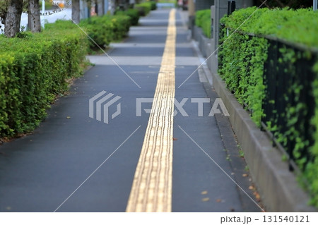 視覚障害者誘導用ブロックのある歩道 イメージ 視覚障害者誘導用ブロックのある歩道 イメージ 131540121