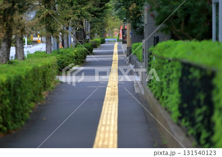 視覚障害者誘導用ブロックのある歩道　イメージ 131540123