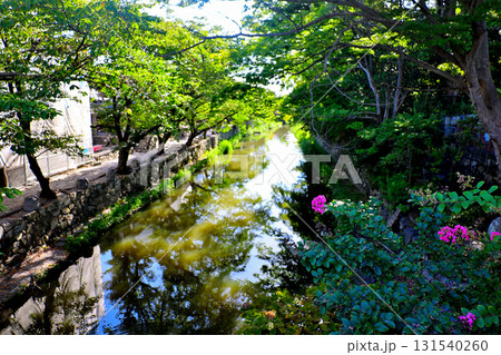 近江八幡 八幡堀 近江八幡 八幡堀 131540260