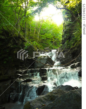 奥入瀬渓流の風景 131540275