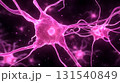 Neurons pink glowing abstract science biology digital technology network connection brain cell structure medical illustration futuristic vibrant energy research anatomy neuron network glowing 131540849