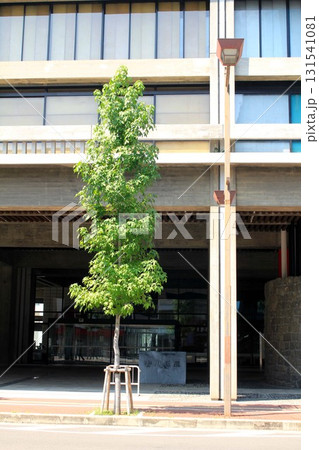 香川県庁 131541081