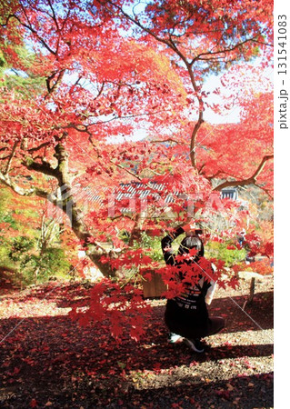 大国寺紅葉をスマホで撮影する女性 大国寺紅葉をスマホで撮影する女性 131541083