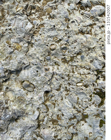 Weathered Stone Wall Texture Showing Cracks and Natural Vertical Patterns 131542007