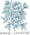Vintage Botanical Illustration Of Peony Flowers In Line Art Style 131542706