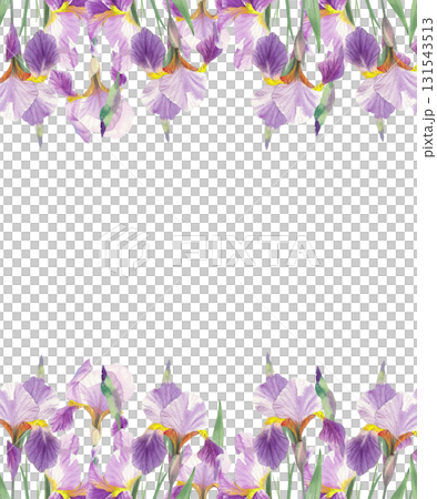 Seamless two sides border of irises. Watercolor handmade illustration. For packaging design, cards, cover, prints, product labels and fabric. Seamless two sides border of irises. Watercolor handmade illustration. For packaging design, cards, cover, prints, product labels and fabric. 131543513