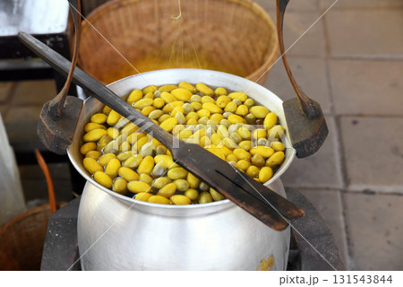 Boiling silkworm cocoons in a pot to separate them into fibers to produce silk thread. Boiling silkworm cocoons in a pot to separate them into fibers to produce silk thread. 131543844