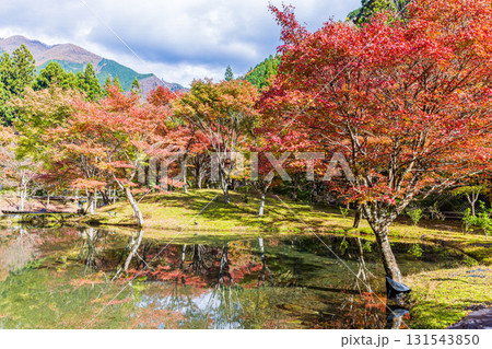 静岡県　草履石公園・秋景色 131543850
