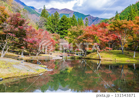静岡県　草履石公園・秋景色 131543871