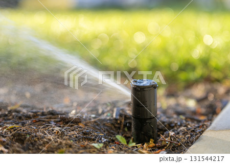 Irrigation automatic sprinkler for lawn watering. Keeping grass green during dry season Irrigation automatic sprinkler for lawn watering. Keeping grass green during dry season 131544217