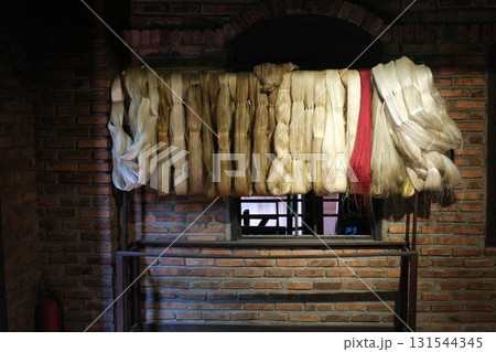 Silkworm Cocoon and Silk Production Video Mulberry Feeding Hatching Process Spinning Threads Traditional Sericulture Weaving Factory Authentic Vietnam Silk Heritage Silkworm Cocoon and Silk Production Video Mulberry Feeding Hatching Process Spinning Threads Traditional Sericulture Weaving Factory Authentic Vietnam Silk Heritage 131544345