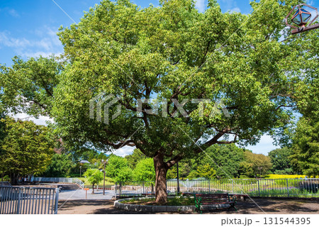 【木曽三川公園センター】北ゾーン グリーンデッキ（岐阜県 海津市） 131544395