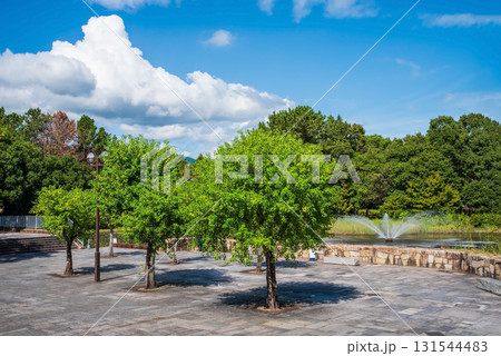 【木曽三川公園センター】北ゾーン （岐阜県 海津市） 131544483