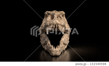 The T rex Skull for Education Or sci concept 3d Rendering. 131544594