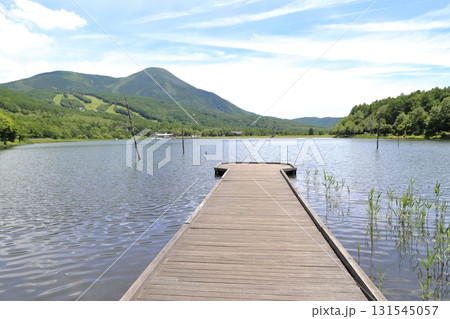 女神湖畔の風景 女神湖畔の風景 131545057