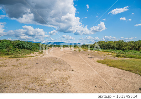干上がった川底を見せる木津川　上津屋橋上流側　京都府八幡市 131545314
