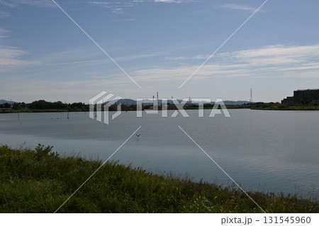 油ヶ淵と水面を飛ぶ鳥 131545960
