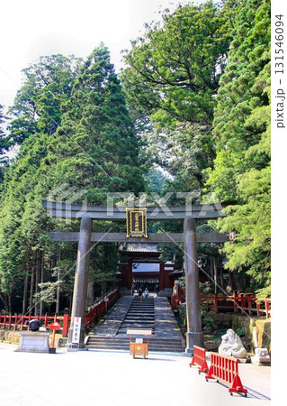 夏の日光へ… 万緑の『二荒山神社』 夏の日光へ… 万緑の『二荒山神社』 131546094