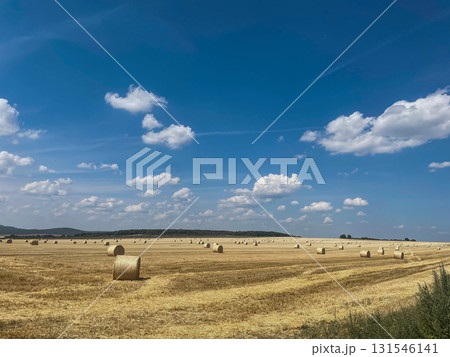 Golden Harvest Field with Hay Bales and Rolling Hills Golden Harvest Field with Hay Bales and Rolling Hills 131546141
