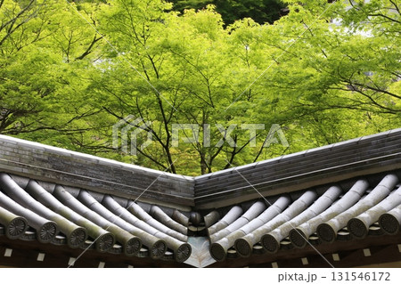 広島県の観光名所、安芸の宮島の景観 131546172