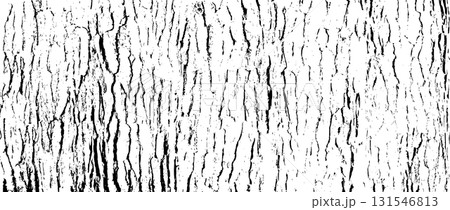 Tree bark texture 131546813