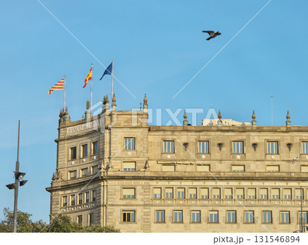 スペイン　バルセロナ　カタルーニャ広場からの景色　夕方 131546894