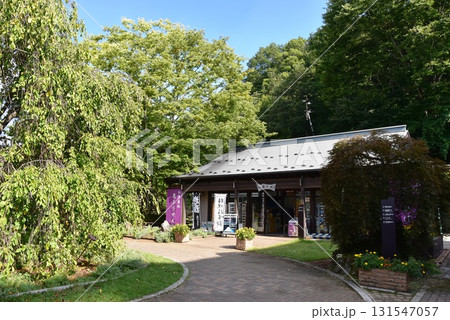 山中湖花の都公園 清流の里お土産処花ふうせん 山中湖花の都公園 清流の里お土産処花ふうせん 131547057