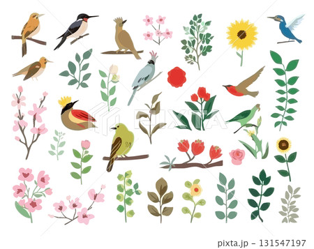 花や植物と小鳥のイラスト素材 131547197