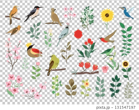 花や植物と小鳥のイラスト素材 131547197