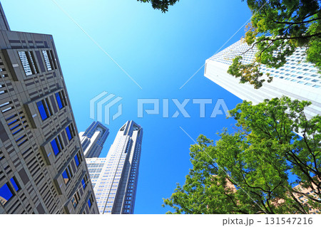 東京都新宿区、東京都庁第一本庁舎の風景 東京都新宿区、東京都庁第一本庁舎の風景 131547216