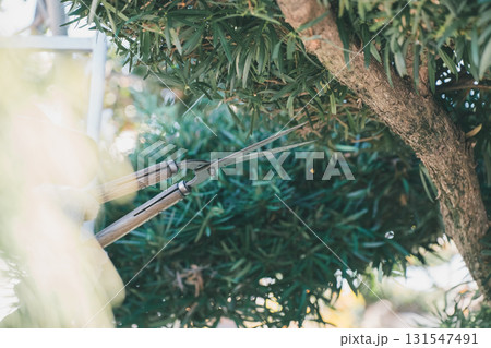 Japanese Gardener Japanese Gardener 131547491