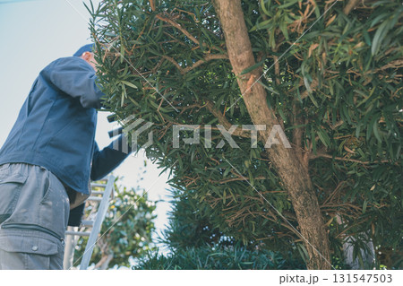 Japanese Gardener Japanese Gardener 131547503