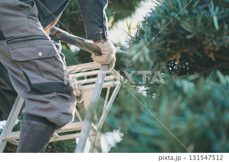 Japanese Gardener Japanese Gardener 131547512