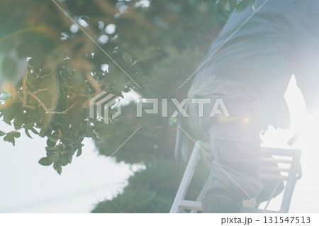 Japanese Gardener Japanese Gardener 131547513