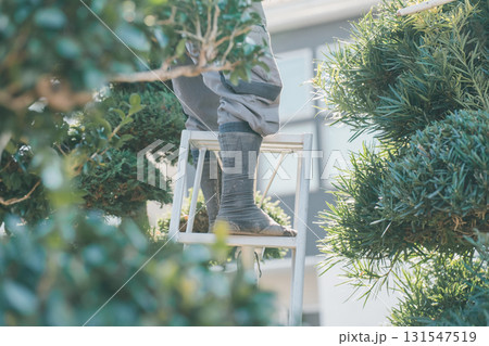 Japanese Gardener Japanese Gardener 131547519