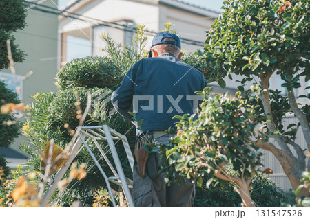 Japanese Gardener 131547526