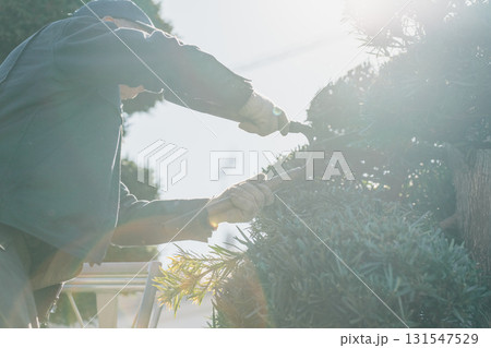 Japanese Gardener 131547529