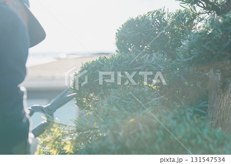 Japanese Gardener 131547534