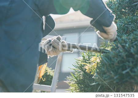 Japanese Gardener 131547535