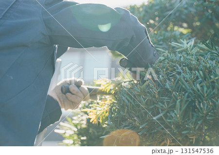 Japanese Gardener 131547536