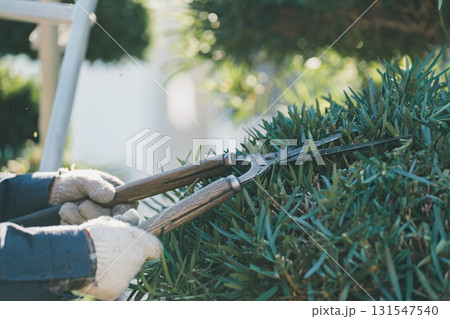 Japanese Gardener 131547540