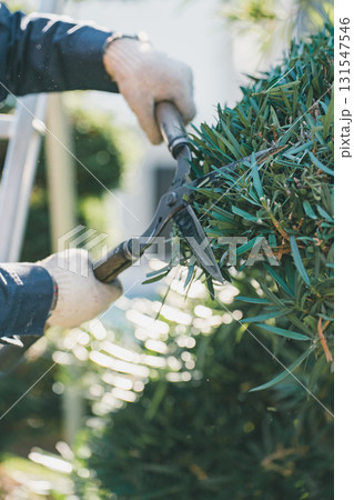 Japanese Gardener 131547546