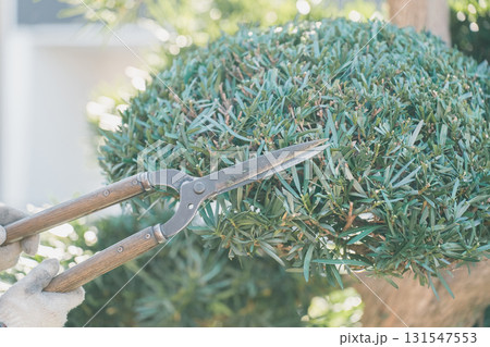 Japanese Gardener 131547553