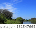 日本　埼玉の風景 131547665