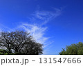 日本　埼玉の風景 131547666