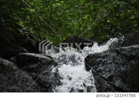 湯河原 不動滝 小さな滝 湯河原 不動滝 小さな滝 131547708