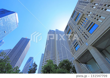 東京都新宿区、超高層ビルが立ち並ぶ風景 東京都新宿区、超高層ビルが立ち並ぶ風景 131547709