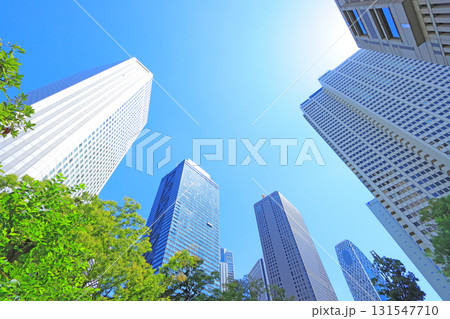 東京都新宿区、超高層ビルが立ち並ぶ風景 東京都新宿区、超高層ビルが立ち並ぶ風景 131547710