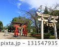 日本　埼玉の花 131547935