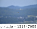 独りぼっち 131547955
